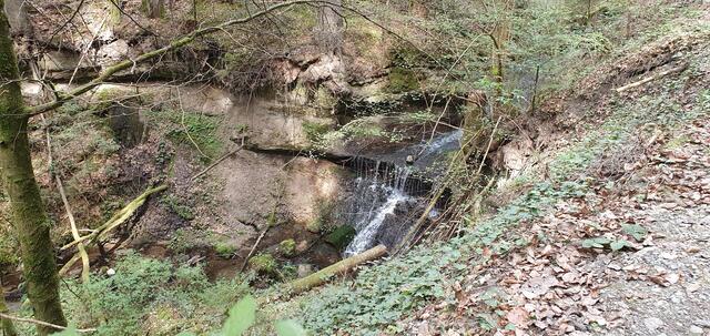 Foto: privat Sibylle Tröber