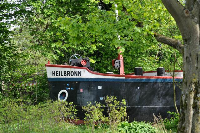 Und dieses Bild entstand erst letzte Woche. | Foto: Daniela Somers