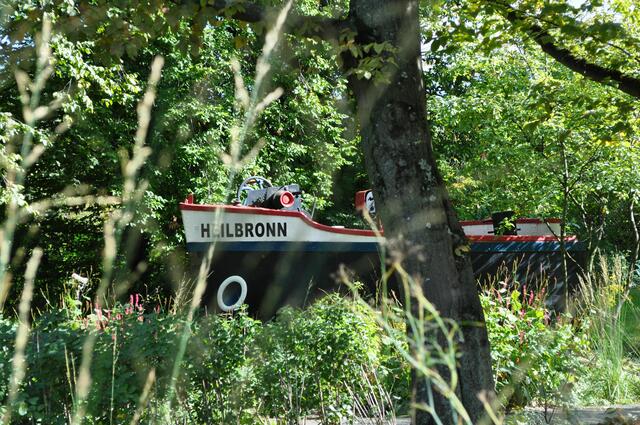 Buga 2019 | Foto: Daniela Somers