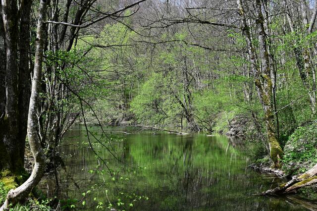 Der See wirkt wie verwunschen.  | Foto: Michael Harmsen