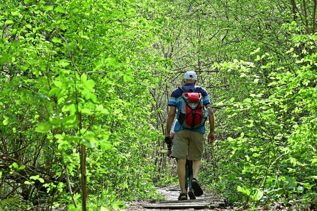 Herrliche Pfade und lichtdurchfluteter Wald - wunderschön.  | Foto: Michael Harmsen