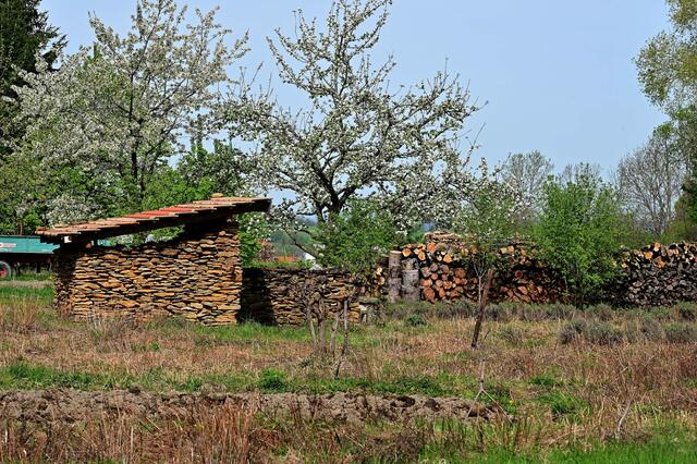 Da gibt's viel Holz vor der Hütte.  | Foto: Michael Harmsen