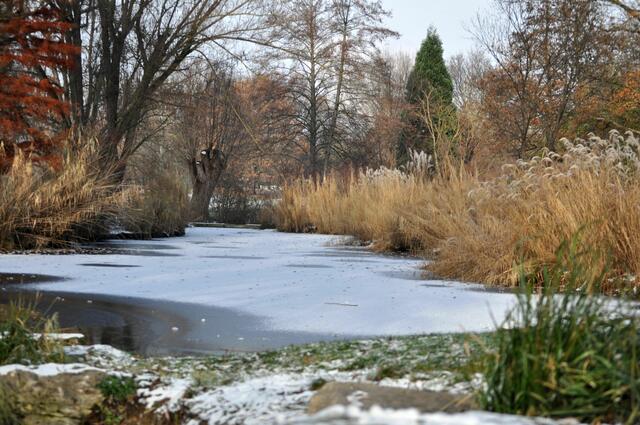 Wertwiesenpark Heilbronn. Ein See der bei vielen Tieren geschätzt ist. Der Park ist zu jeder Jahreszeit schön. | Foto: Daniela Somers