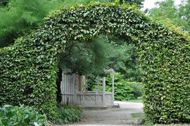 Botanischer Obstgarten. Kein neuer Park. Aber erst seit dem Jahr 2000, seit der Gründung des Fördervereins Garten- und Baukultur Heilbronn e.V., blüht der Park auf. | Foto: Daniela Somers