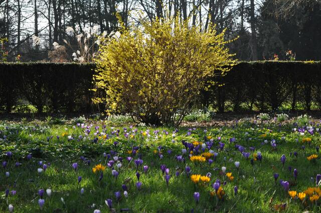 Pfühlpark Heilbronn. Hier vereint sich die Seenlandschaft mit Spielplätzen und auch einem schönen Rosengarten. Der Park besticht durch seine weitläufigen Wiesen. | Foto: Daniela Somers