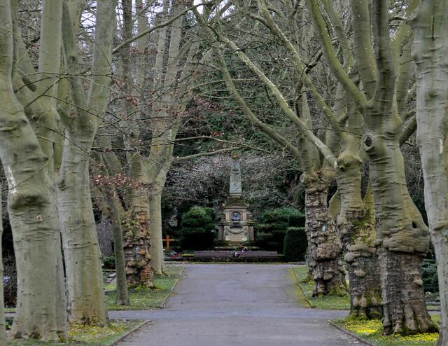 Heilbronner Hauptfriedhof. Auch ein Friedhof ist ein Park. Eine grüne Oase mit altem Baumbestand der zum spazieren gehen einlädt. Und auch Tiere fühlen sich hier wohl. Vögel und Eichhörnchen haben diese Ruheoase für sich entdeckt. | Foto: Daniela Somers