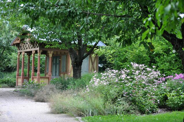 Botanischer Obstgarten. Hier gehen die Bildmotive nicht aus. | Foto: Daniela Somers