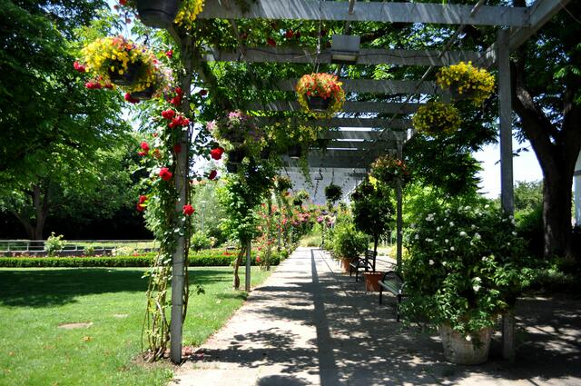 Rathauspark Nordheim. Ehemalige Blumensommerpark. Nicht besonders groß, aber doch für eine Auszeit geeignet. | Foto: Daniela Somers
