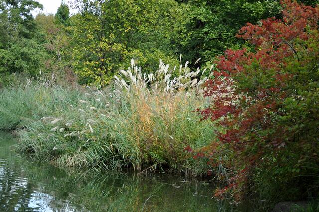 Wertwiesenpark Heilbronn. Zu jeder Jahreszeit schön. | Foto: Daniela Somers