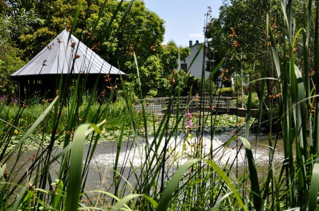 Schlosspark Gemmingen. Ein kleiner feiner Park mit eigener Quelle. In den 80er Jahren umgestaltet. Auch hier finden immer wieder Veranstaltungen statt. Und auch die Tierwelt fühlt sich hier wohl. | Foto: Daniela Somers