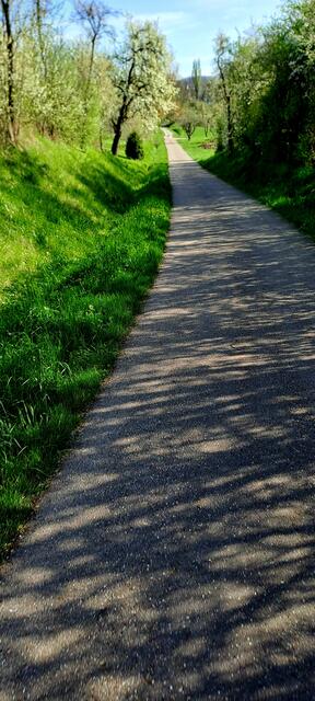 unterwegs im Öhringer Süden nach Pfedelbach  | Foto: Andreas Odey 