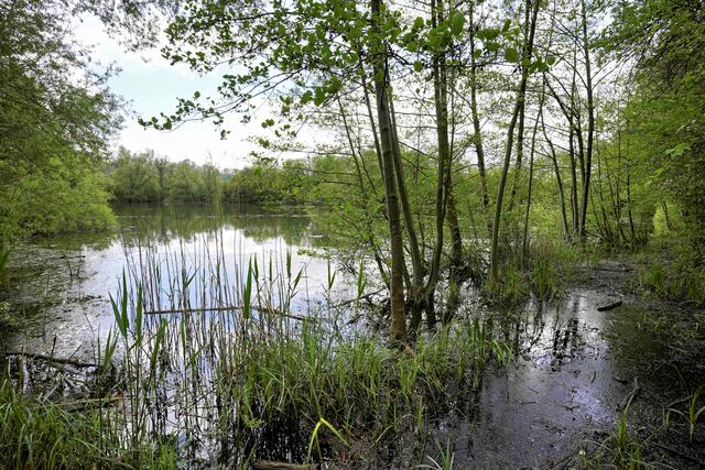 hoher Wasserstand - rechts ist normalerweise der Weg | Foto: Ulrich Seidel