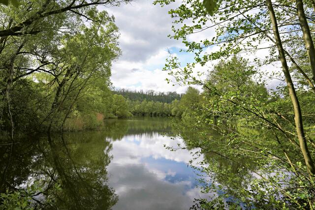 der hintere See | Foto: Ulrich Seidel