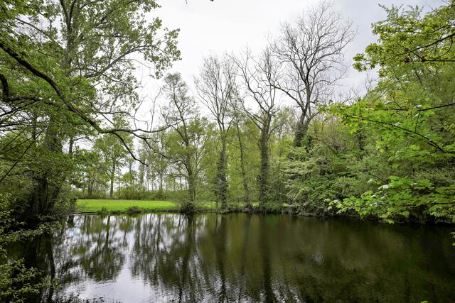 am vorderen kleinen See | Foto: Ulrich Seidel