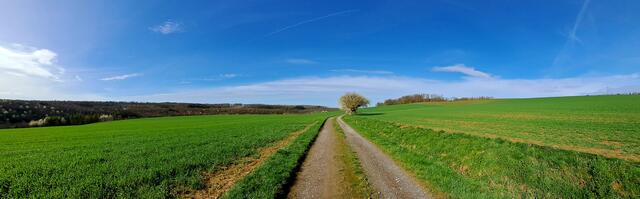 Landschaft bei Zweiflingen-Pfahlbach | Foto: Andreas Odey