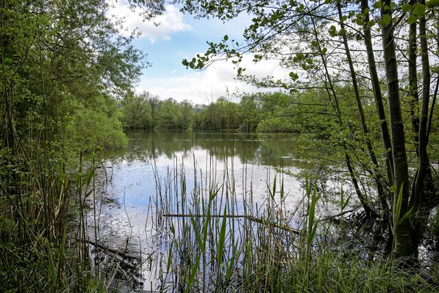Foto: Ulrich Seidel