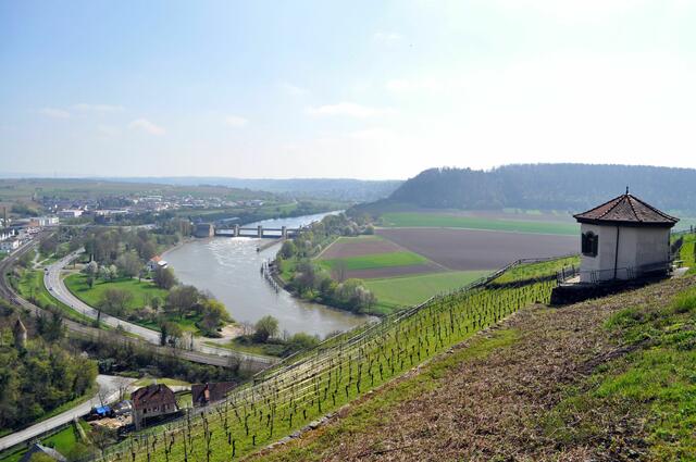 Neckar bei Gundelsheim | Foto: Daniela Somers