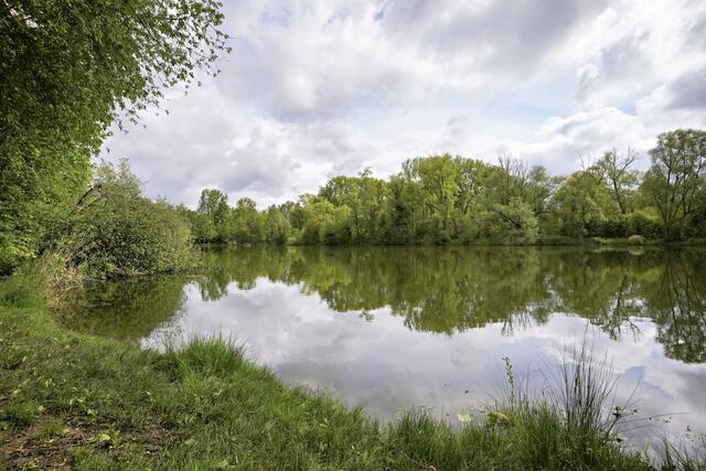 Spiegelung am Seeloch | Foto: Ulrich Seidel