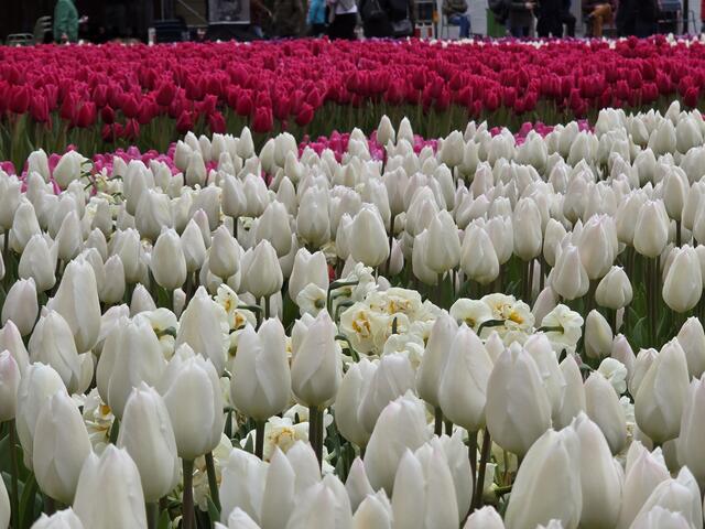 Foto: Heidrun Rosenberger