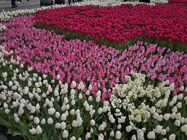 Foto: Heidrun Rosenberger