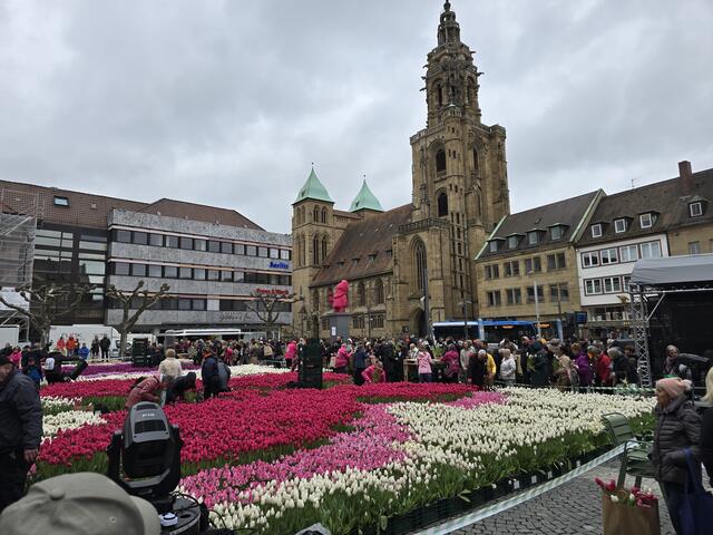 Tulpenvergabe. | Foto: Heidrun Rosenberger
