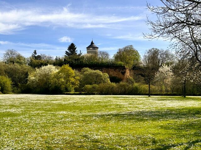 Ziegeleipark in Böckingen | Foto: Heide Böllinger aus Bad Friedrichshall