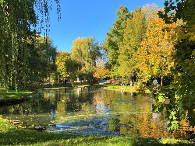 Pfühlpark Heilbronn | Foto: Heide Böllinger aus Bad Friedrichshall