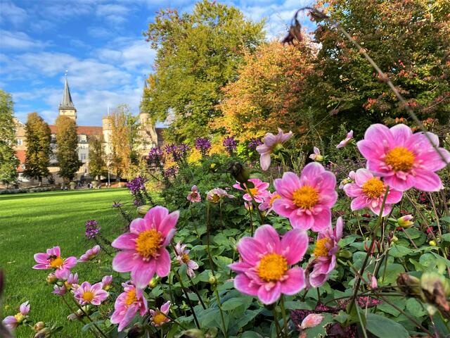 Hofgarten Öhringen | Foto: Heide Böllinger aus Bad Friedrichshall