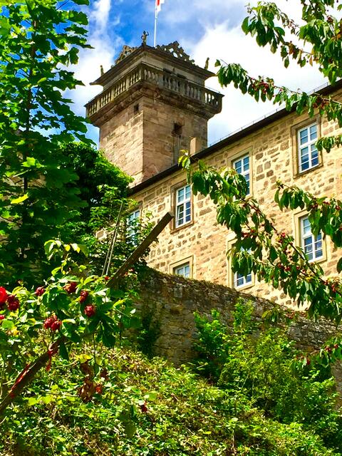 Schloss in Waldenburg | Foto: Heide Böllinger aus Bad Friedrichshall