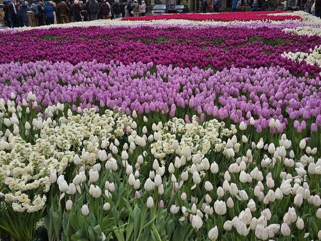 Foto: Heidrun Rosenberger