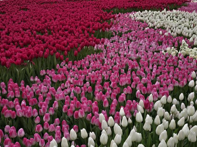 Foto: Heidrun Rosenberger