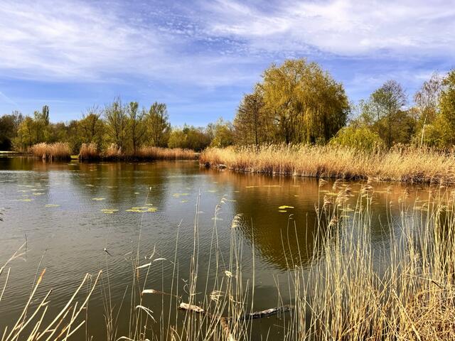 Ziegeleipark in Böckingen | Foto: Heide Böllinger aus Bad Friedrichshall