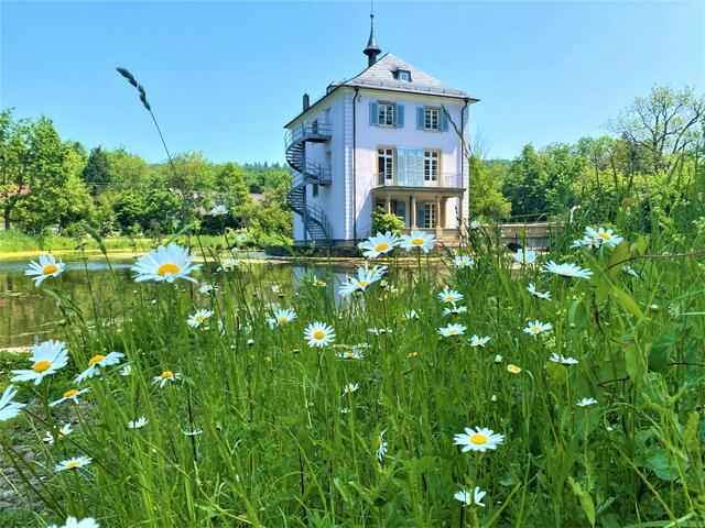 Trappensee Schlösschen HN | Foto: Heide Böllinger aus Bad Friedrichshall