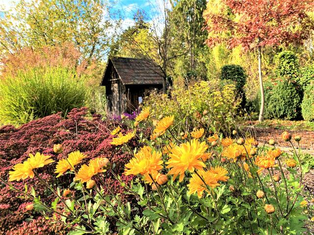 BOG Heilbronn | Foto: Heide Böllinger aus Bad Friedrichshall