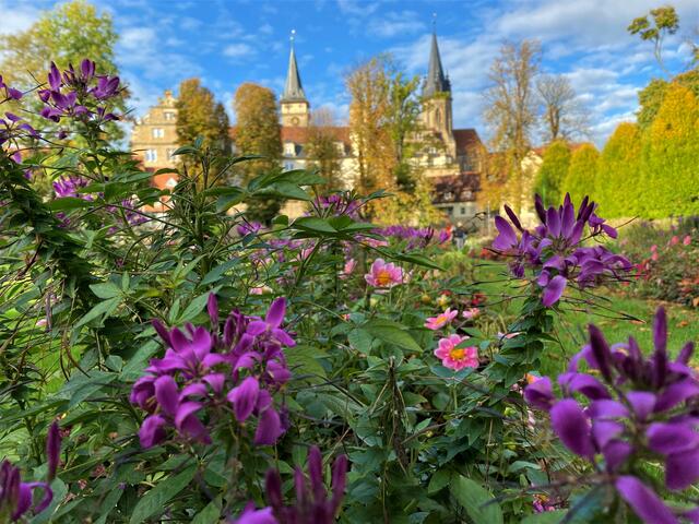 Hofgarten Öhringen | Foto: Heide Böllinger aus Bad Friedrichshall