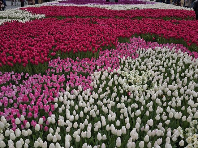 Foto: Heidrun Rosenberger