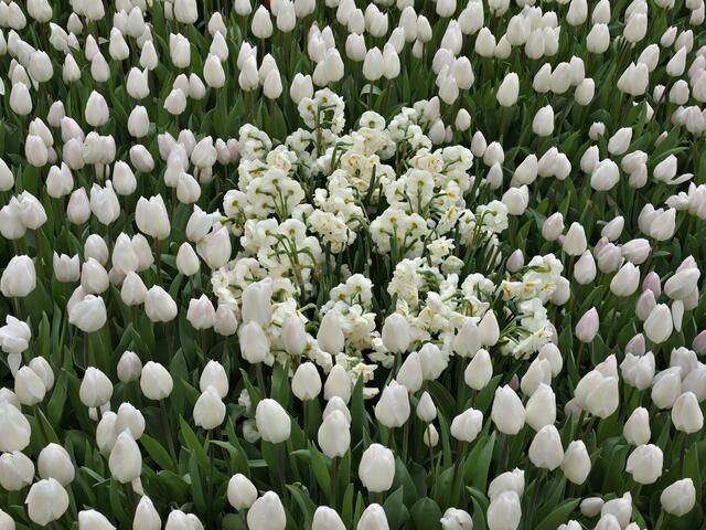 Foto: Heidrun Rosenberger