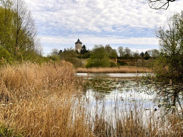 Ziegeleipark in Böckingen | Foto: Heide Böllinger aus Bad Friedrichshall
