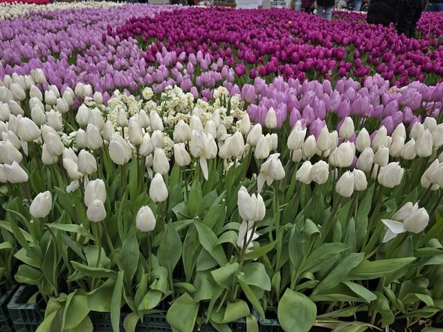 Foto: Heidrun Rosenberger