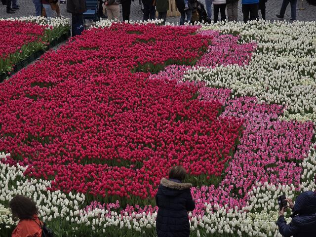 Foto: Heidrun Rosenberger