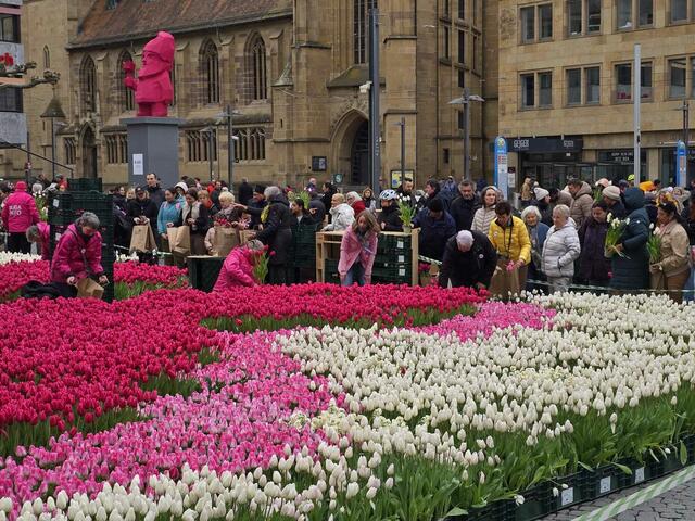Es waren genügend Pflanzen für alle da. | Foto: Heidrun Rosenberger