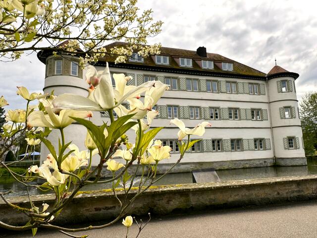 Wasserschloss Bad Rappenau | Foto: Heide Böllinger aus Bad Friedrichshall