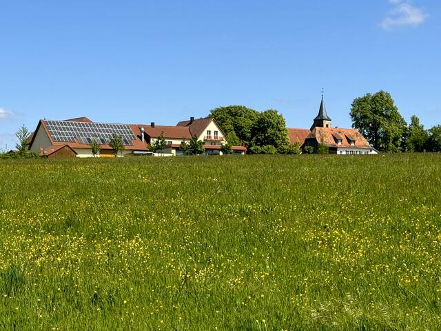 Foto: Heide Böllinger aus Bad Friedrichshall