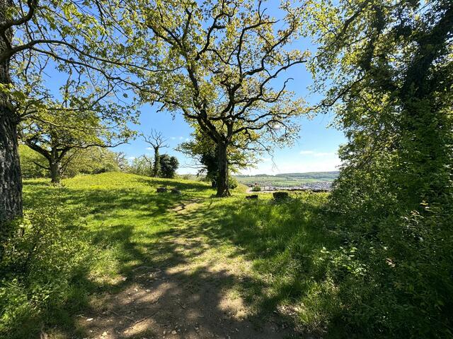 Foto: Heide Böllinger aus Bad Friedrichshall