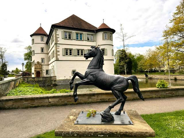 Wasserschloss Bad Rappenau | Foto: Heide Böllinger aus Bad Friedrichshall