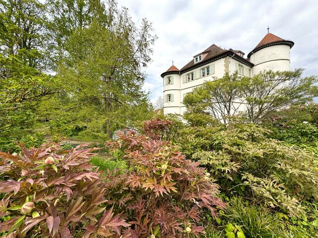 Wasserschloss Bad Rappenau | Foto: Heide Böllinger aus Bad Friedrichshall