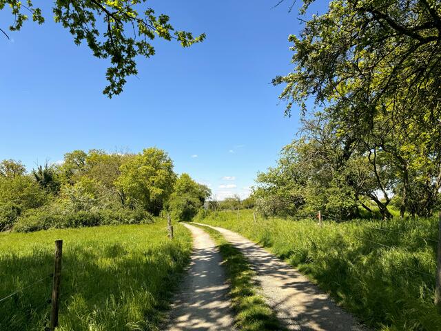 Foto: Heide Böllinger aus Bad Friedrichshall