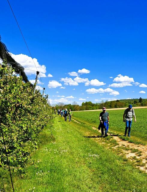 An Obstplantagen vorbei, kurz vor den Waldweghöfen. | Foto: Isolde Reitz