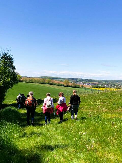 Schwaigern in Sichtnähe. | Foto: Isolde Reitz