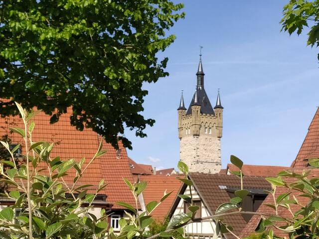 Da spickelt der blaue Turm über die Dächer Bad Wimpfens.  | Foto: sigischlottke